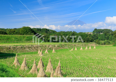 Rural scenery overlooking Fuji 38477513