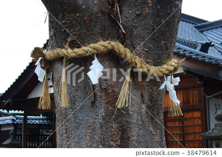Shimenawa Okamiki Shimenawa Okamiki 38479614