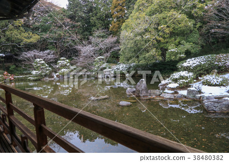 Yuki no Tomozumi Yuki no Tomozumi 38480382