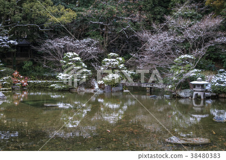 Yuki no Tomozumi Yuki no Tomozumi 38480383