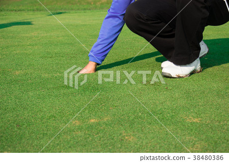 Man golfer keep a golf ball. 38480386