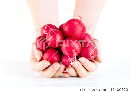 Woman holding the bunch of fresh radishes Woman holding the bunch of fresh radishes 38480770