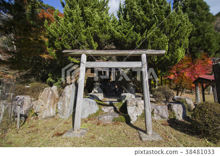 autumn leaves 38481033
