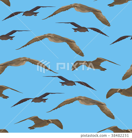Birds Gulls Seamless Birds Gulls Seamless 38482231