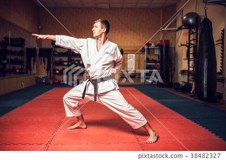 Martial arts master on fight training in gym 38482327