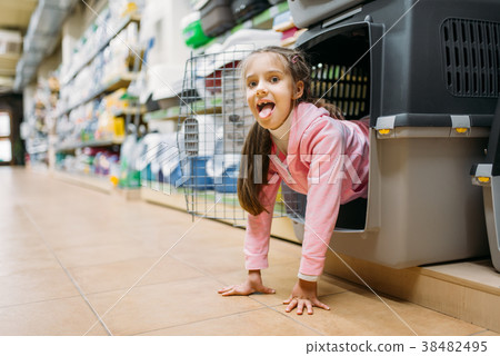 Little girl chooses carrier for puppy in pet shop Little girl chooses carrier for puppy in pet shop 38482495