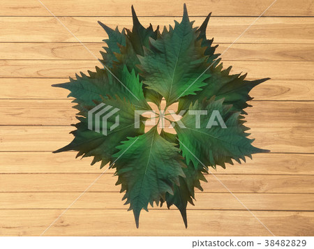 Oba leaves on wooden boards. Oba leaves on wooden boards. 38482829