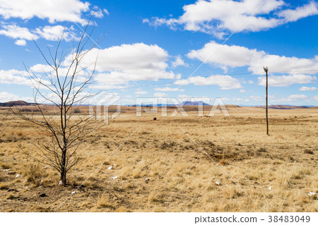 Orange Free State panorama, South Africa 38483049
