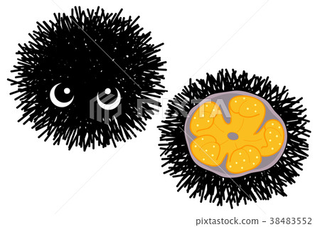 海膽字符 38483552