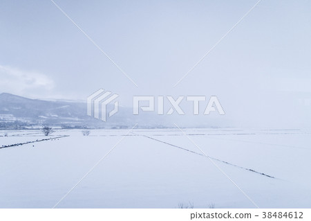 Scenery of Hokuto city Scenery of Hokuto city 38484612