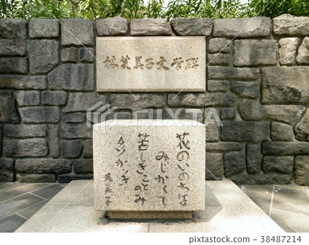 Sakurajima的Ayako Hayashi文學紀念碑 Sakurajima的Ayako Hayashi文學紀念碑 38487214