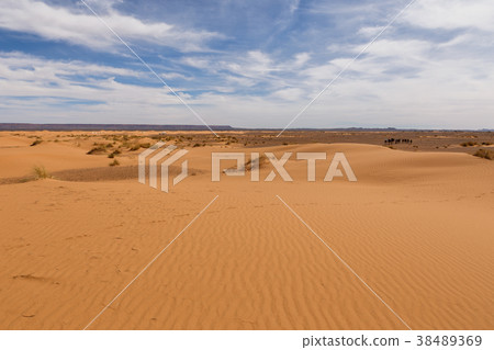 Dunes of Erg Chebbi, Morocco Dunes of Erg Chebbi, Morocco 38489369