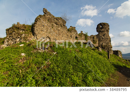 The ruins of the castle The ruins of the castle 38489795