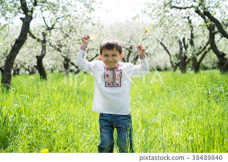 The boy is embroidered in the garden 38489840