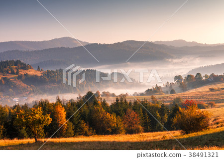 Autumn landscape, misty morning. 38491321