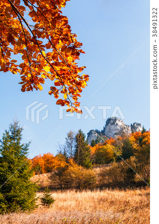 Autumn landscape, rocks and trees in fall colors. 38491322