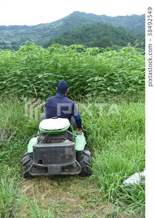 Agriculture Agriculture 38492549