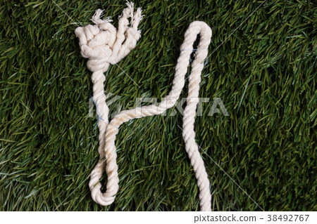 Rope alphabet on grass. Letter H Rope alphabet on grass. Letter H 38492767