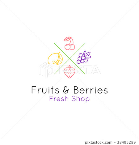 Fruits and berries line style logo Fruits and berries line style logo 38493289
