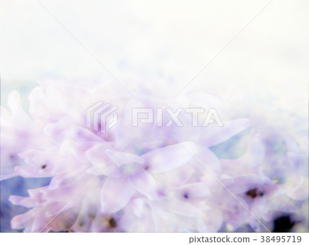 Hyacinth scent 38495719