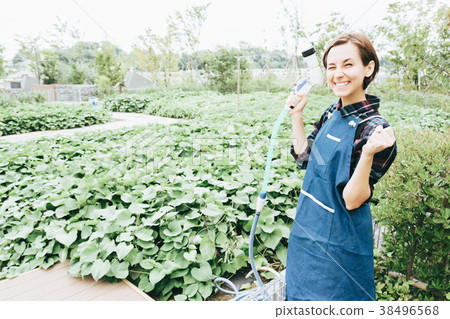 女人給植物澆水 女人給植物澆水 38496568