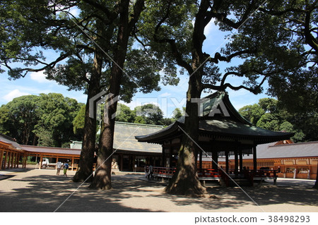 Musashi Ichinomiya Hikawa Shrine-Maiden Musashi Ichinomiya Hikawa Shrine-Maiden 38498293