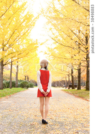 秋葉和婦女 秋葉和婦女 38498883