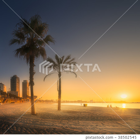 Dramatic sunrset on beach of Barcelona with palm Dramatic sunrset on beach of Barcelona with palm 38502545