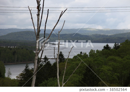 Lake Shonai _ Hokkaido Lake Shonai _ Hokkaido 38502564