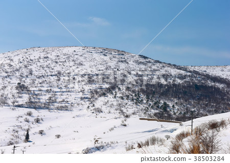 Onogahara Onogahara 38503284