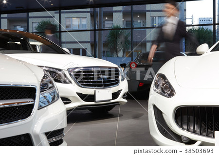 汽車經銷商展廳 38503693