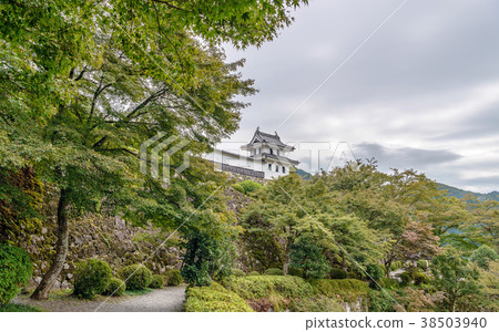 Gujo Hachiman城堡風景 Gujo Hachiman城堡風景 38503940