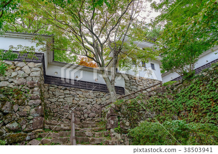 Gujo Hachiman城堡風景 Gujo Hachiman城堡風景 38503941