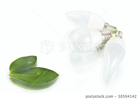 energy-saving LED bulb, glow-lamp, dry and fres energy-saving LED bulb, glow-lamp, dry and fres 38504142