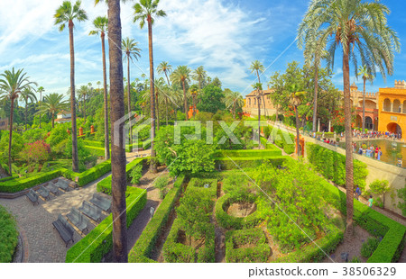 Panoramic view of big and beautiful garden  38506329