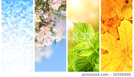 Four seasons of year 38506998