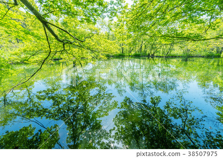 Ishigami Park Sanhoji Pond Ishigami Park Sanhoji Pond 38507975