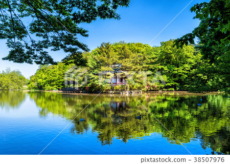Ishigami Park Sanhoji Pond Ishigami Park Sanhoji Pond 38507976