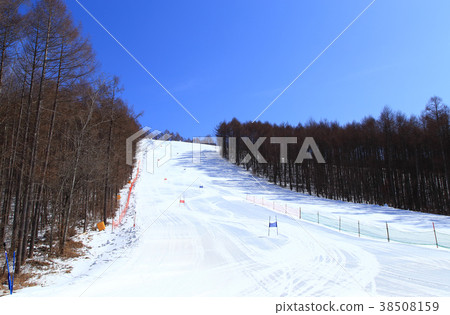 Karuizawa Snow Park slope Karuizawa Snow Park slope 38508159