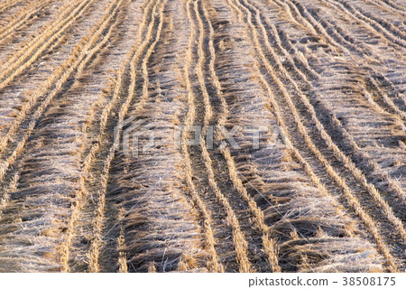 仁川江華郡昌華里 38508175