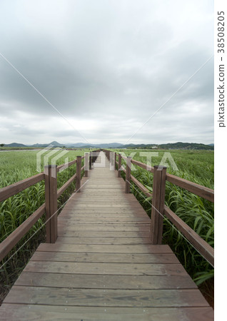 順天灣，順天市，全南 38508205