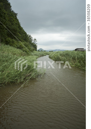 順天灣，順天市，全南 38508209