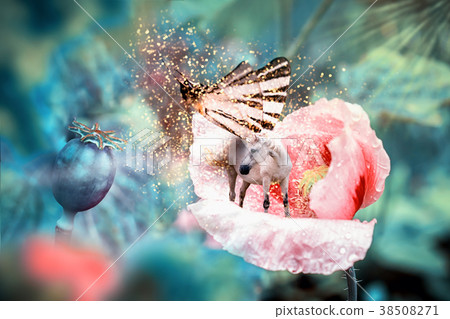 White unicorn with butterfly wings on poppy flower 38508271