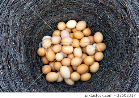 Chicken eggs in a basket 38508317