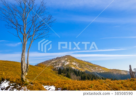 （兵庫縣的50座山，近畿地區的100座著名山）抬頭看看三郎山！ （兵庫縣Shi訪市）*照片位置信息在評論部分中提供 38508590
