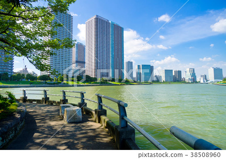 中之島公園 中之島公園 38508960