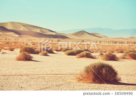 Sand desert Sand desert 38509490
