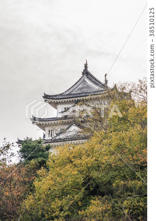 Uwajima城堡風景在秋天 Uwajima城堡風景在秋天 38510125