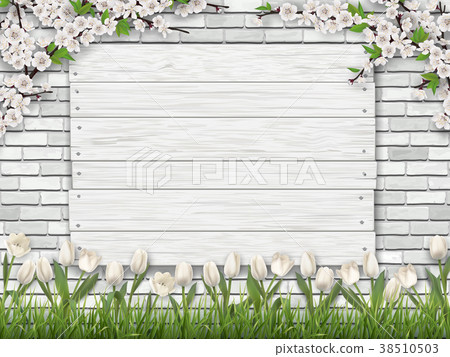 board brick grass tulip background board brick grass tulip background 38510503