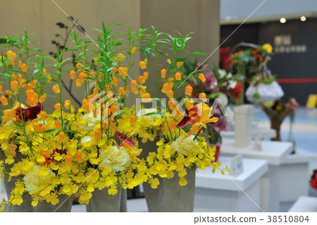 Floral, home, art, design, pattern, life, modern, popular, trendy, fashion Floral, home, art, design, pattern, life, modern, popular, trendy, fashion 38510804